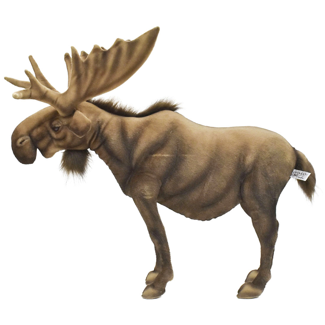 ヘラジカ 60 | HANSA