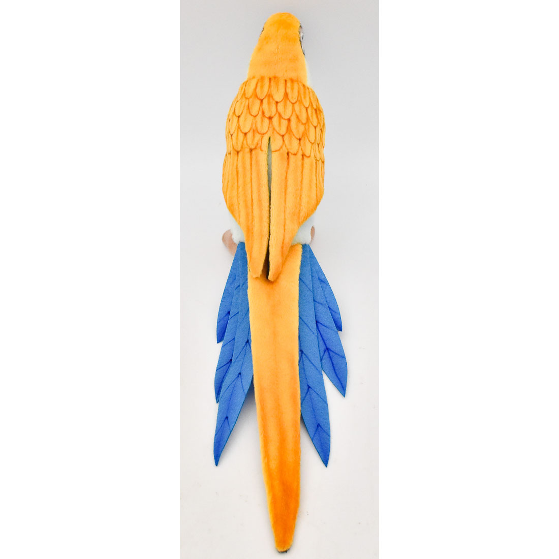 オウム ブルー 37 | HANSA