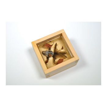 真筆】深堀隆介 直筆ドローイング サイン noname.png