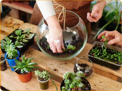 植物雑貨クリエイターの資格が取れる植物雑貨クリエイター養成講座