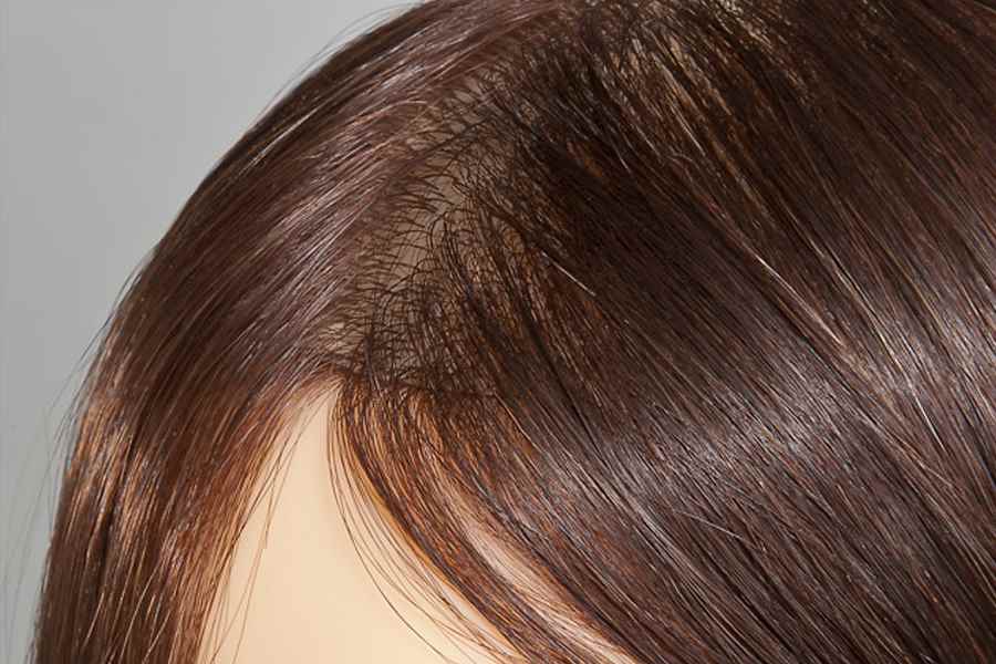 Diana カットウィッグ お試しに 人毛50% / リアル人工毛50%｜美容