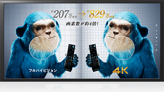 トリプルチューナー（4K対応）モデルKS-6100 | 対応チューナー