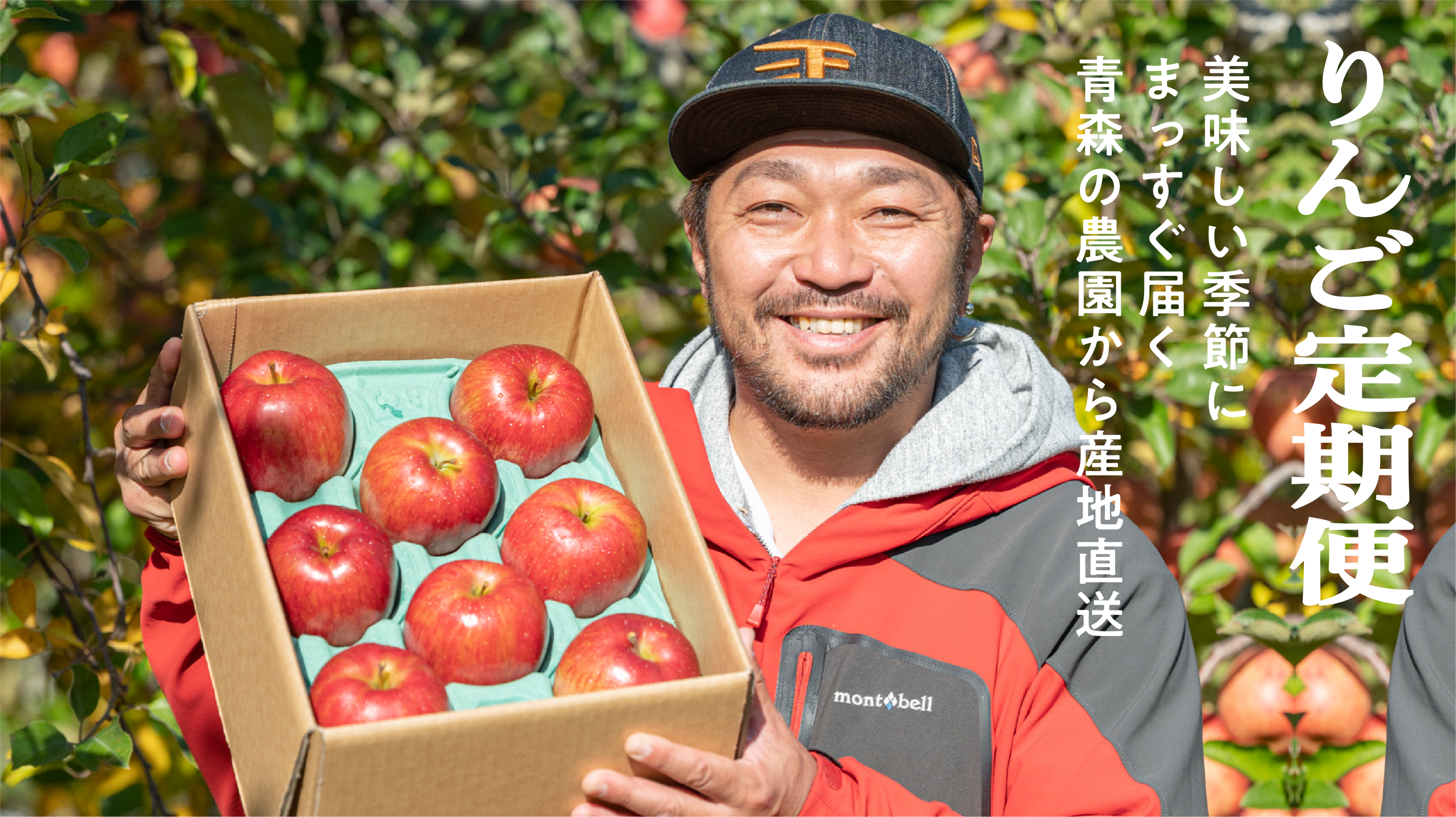 青森りんご定期便 4.5kg 12回コース | 産地直送通販 | 青森りんご