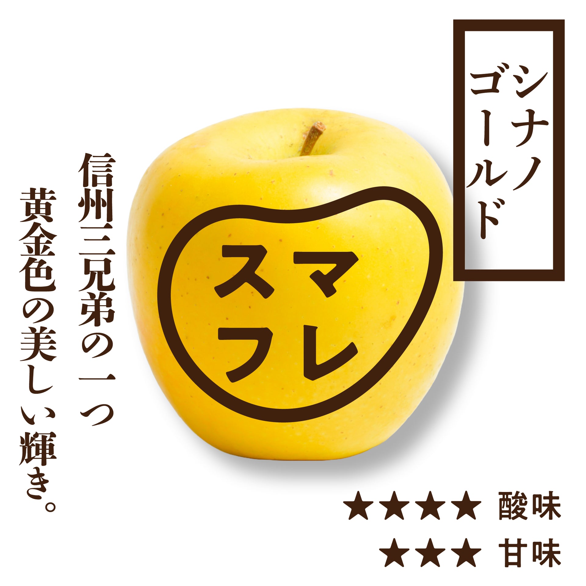 スマートフレッシュ シナノゴールド | 産地直送通販 | 青森りんご