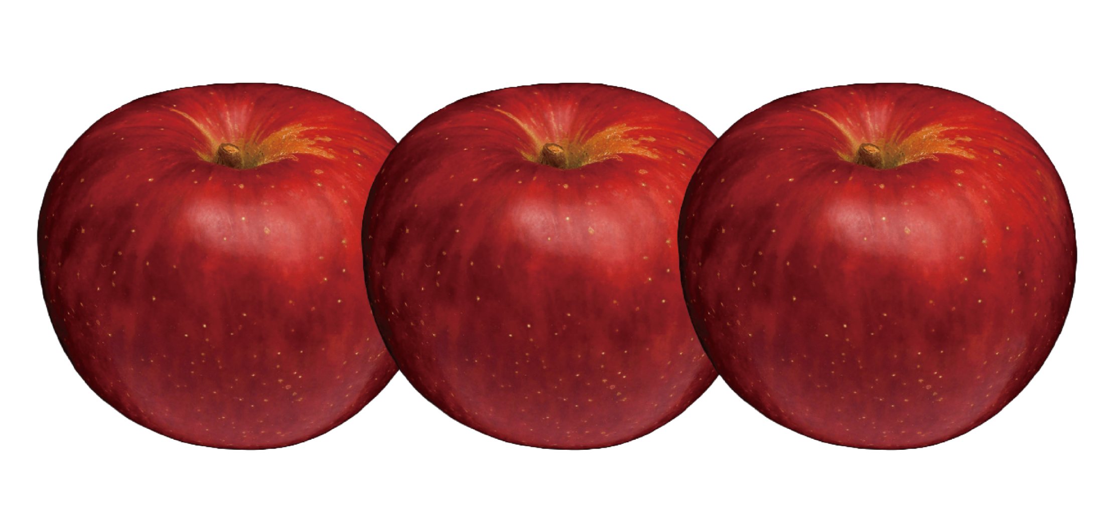 彩香(さいか) | 産地直送通販 | 青森りんご | RED APPLE（レッド