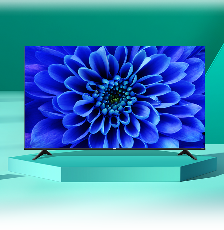 65E6G | ハイセンスジャパン株式会社