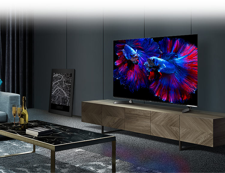 65X8F | ハイセンスジャパン株式会社