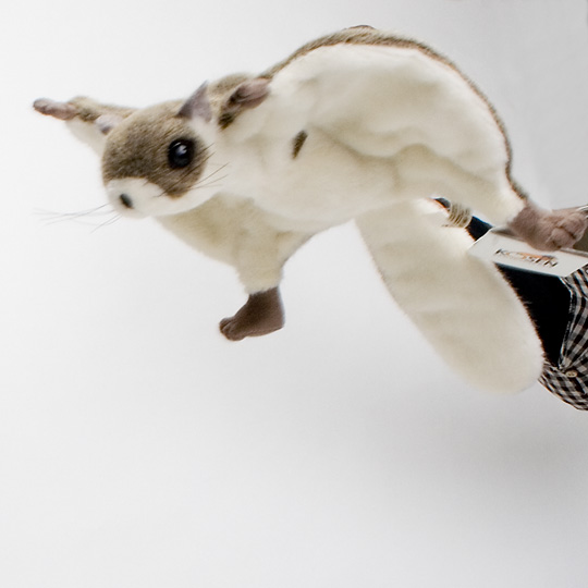 5970 モモンガ：おもちゃ：百町森