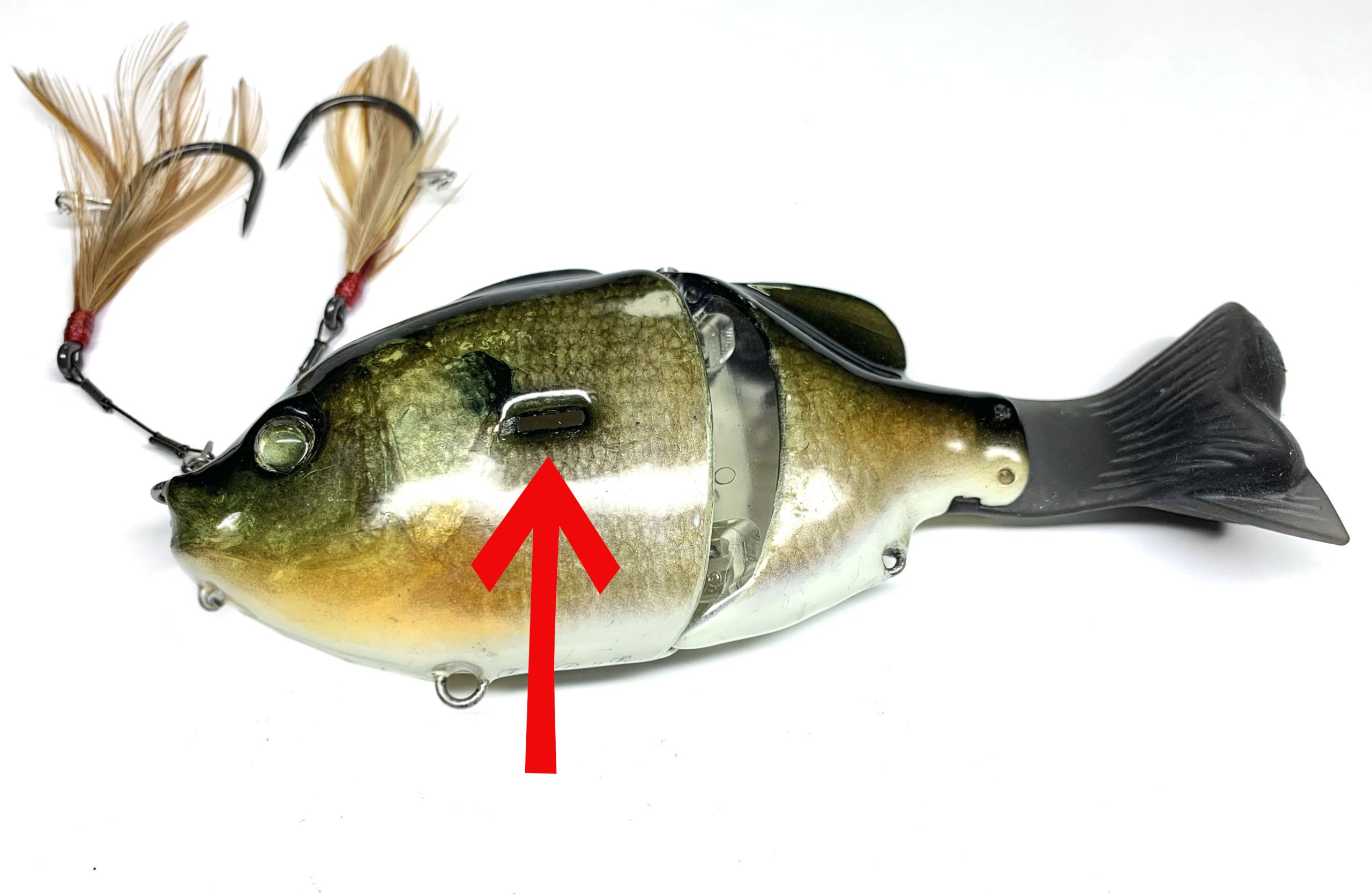 レイジーハードKIシークレット | Top Secret | IMAKATSU