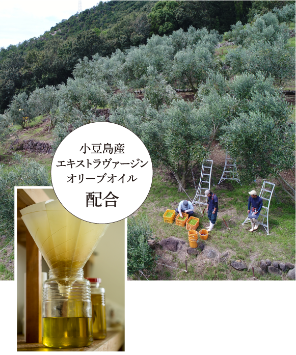 小豆島産エキストラヴァージンオリーブオイル オイル化粧水 | 井上誠耕園