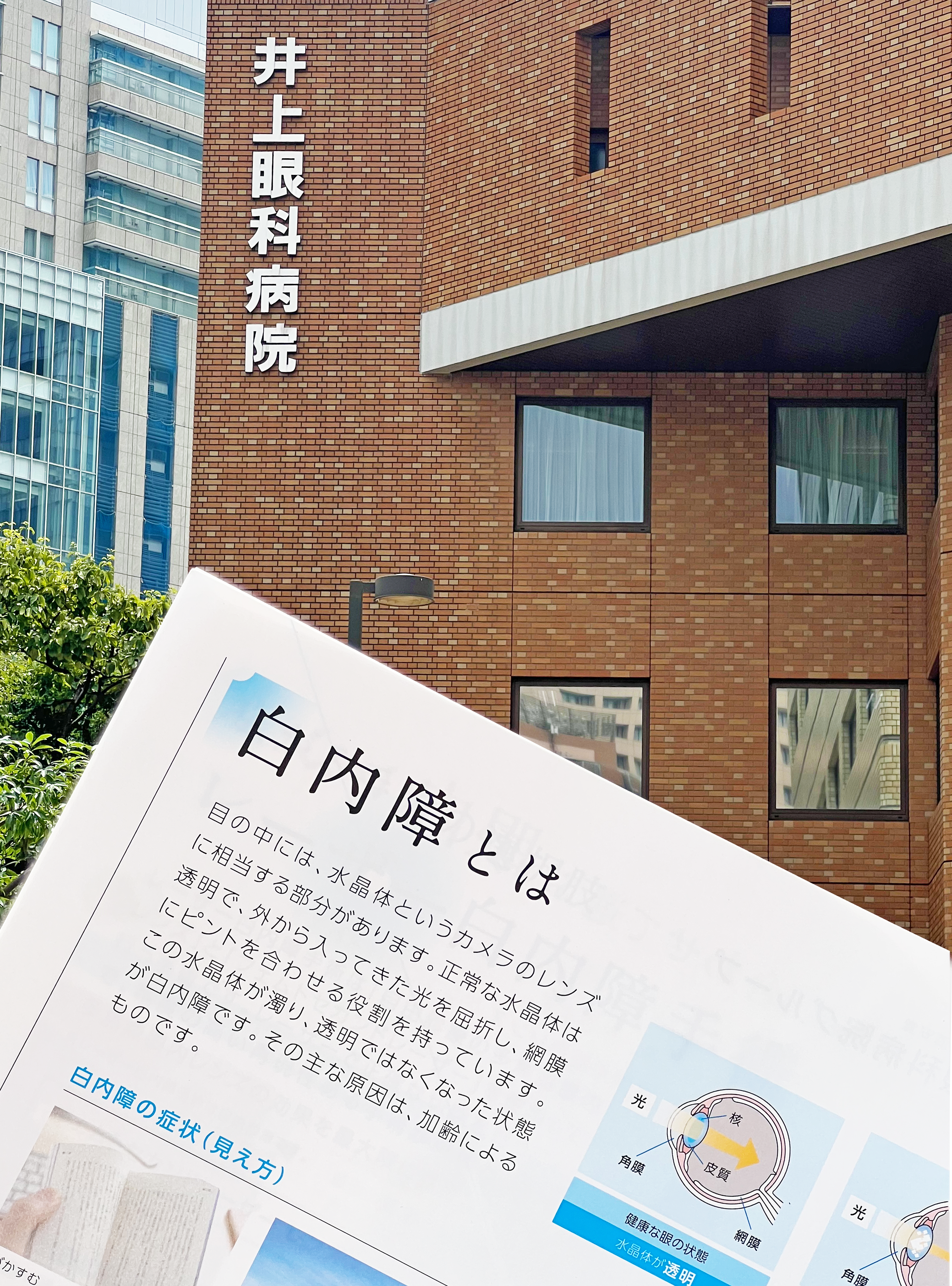 広報誌テキスト版 2025年10月号 | INOUYE EYE NOTE 広報誌 | 医療法人