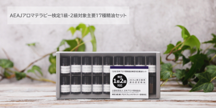 AEAJ 機関誌 2013年～2016年 No.70~79 10冊セット アロマ AEAJ 機関誌