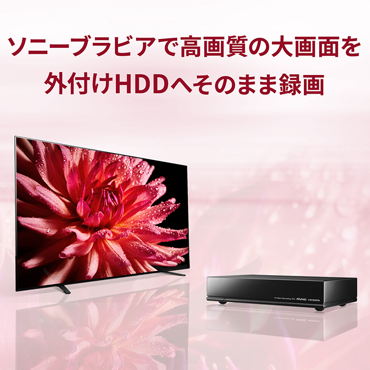 ソニーブラビアで高画質の大画面を外付けHDDへそのまま録画 | アイ