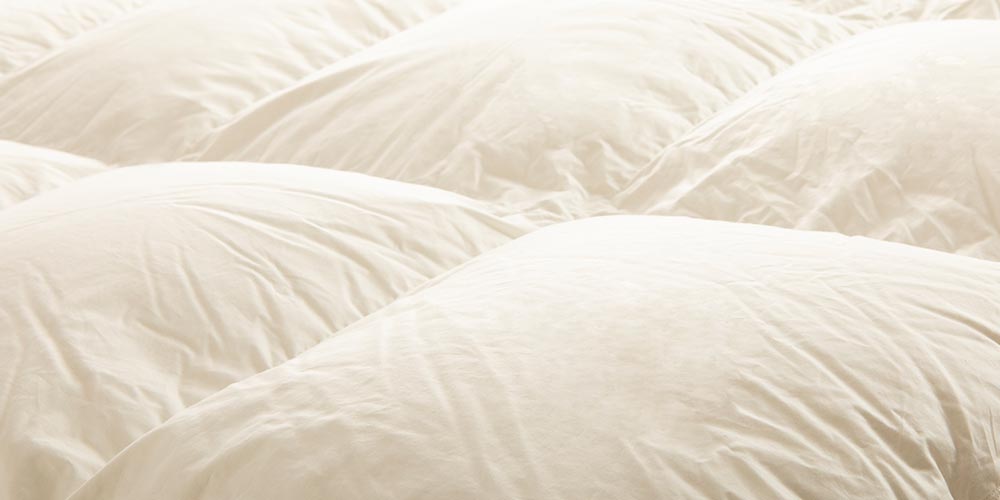 FranceBed（フランスベッド）羽毛布団「ティエドール2」4サイズ