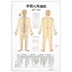 奇経八脈図鑑 ｜ 医道の日本社(公式ショッピングサイト)鍼灸・医療用具