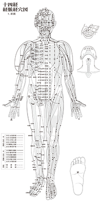新版 経絡経穴概論（拡大版） 第2版2刷→第2版3刷の変更・修正点