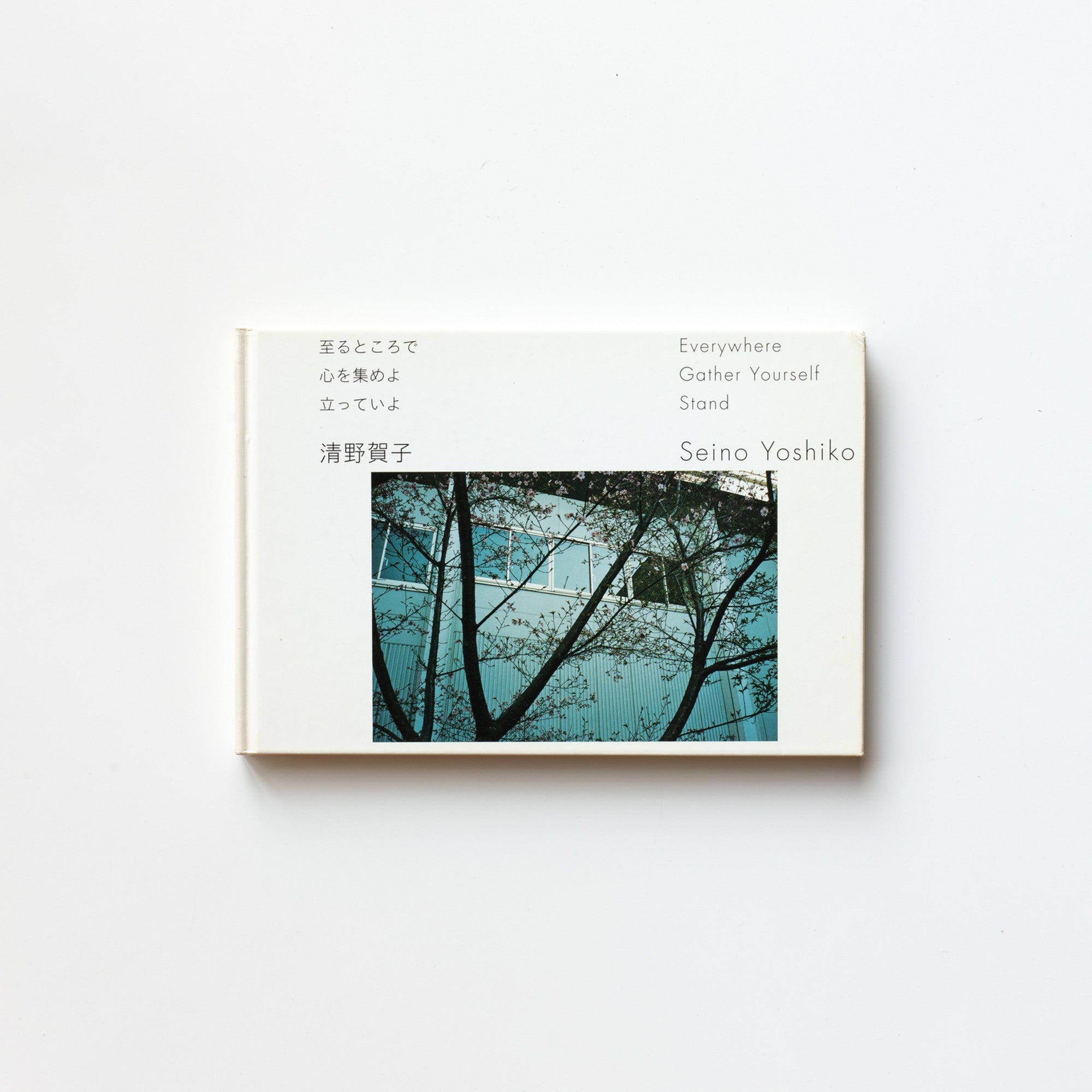 至るところで 心を集めよ 立っていよ by Yoshiko Seino – IACK