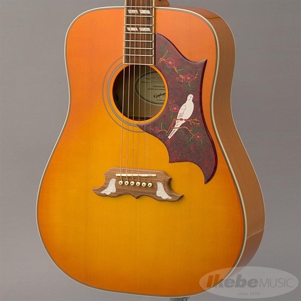 Epiphone 【数量限定エピフォン・アクセサリーパックプレゼント】DOVE