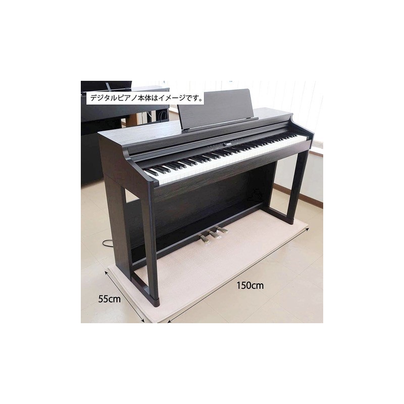 Roland 【4月中旬以降据付予定】DP603-PWS [白塗鏡面艶出し塗装仕上げ