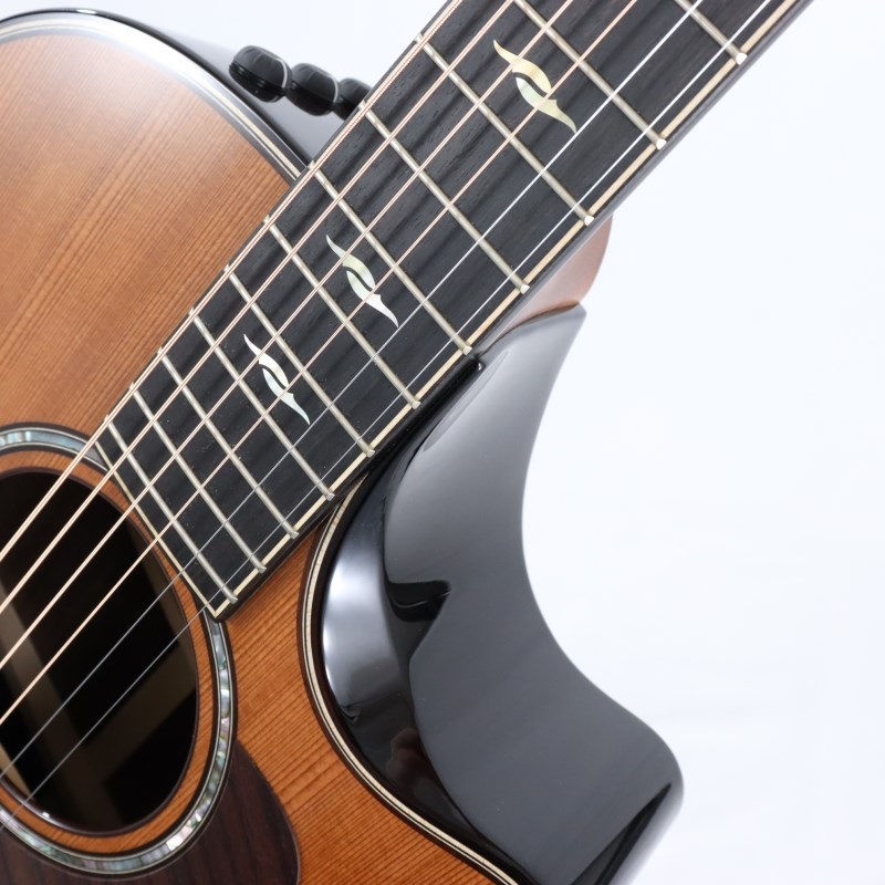 TAYLOR 【数量限定】50th Anniversary Builder's Edition 314ce LTD