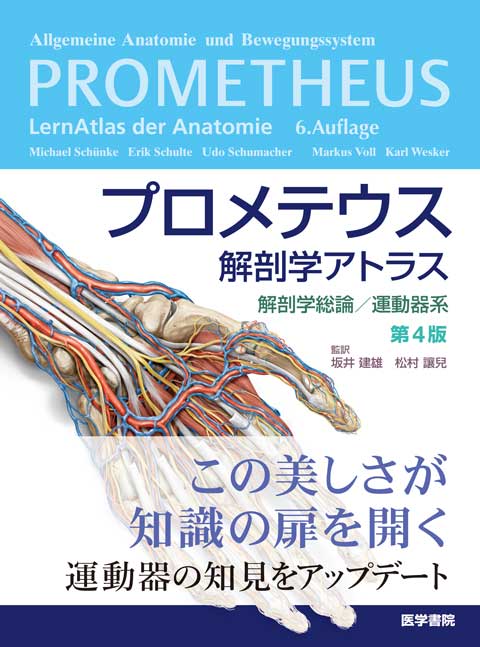 プロメテウス解剖学アトラス 解剖学総論／運動器系 第3版 | 書籍詳細
