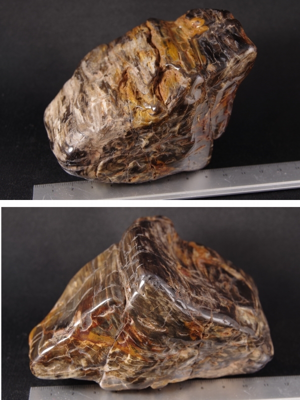 珪化木（木化石）原石磨き 735g 天然石販売 名取貴石 天然石・国産