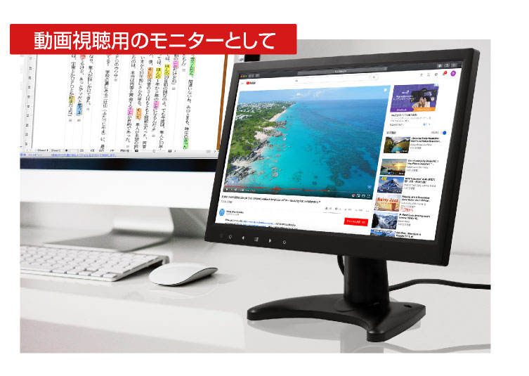 ITPROTECH 13.3型フルHD IPS液晶モニタ プレミアムモデル LCD13HVR-IPS