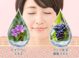 P.P.6] IPSエッセンスUV - 製品情報 - IPSコスメティックス