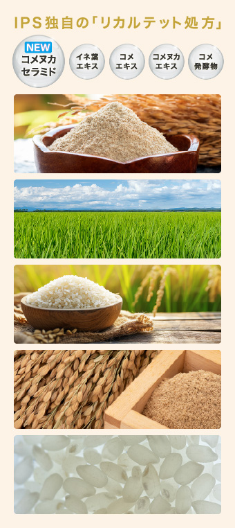 エッセンスマスク - 製品情報 - IPSコスメティックス