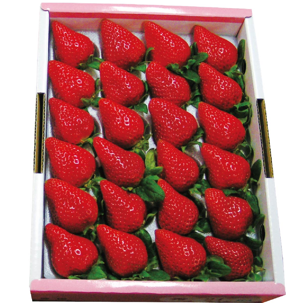 イワタニの公式オンラインショップ｜【出荷期間:2026年2月5日-2026年3