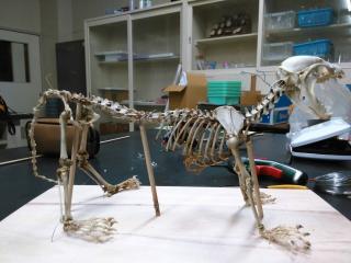 活動レポート詳細｜活動レポート｜こどもエコクラブ