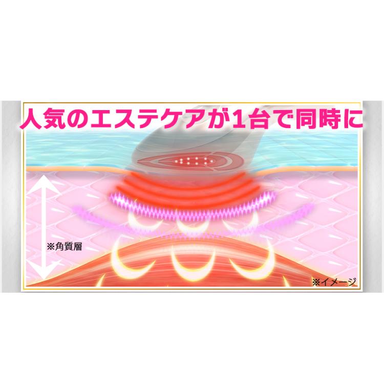 IKKOプロデュース MEラボンエクラ／美顔器 | KUTVショッピング