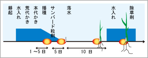 直播による水稲栽培｜稲編｜農作業便利帖｜みんなの農業広場