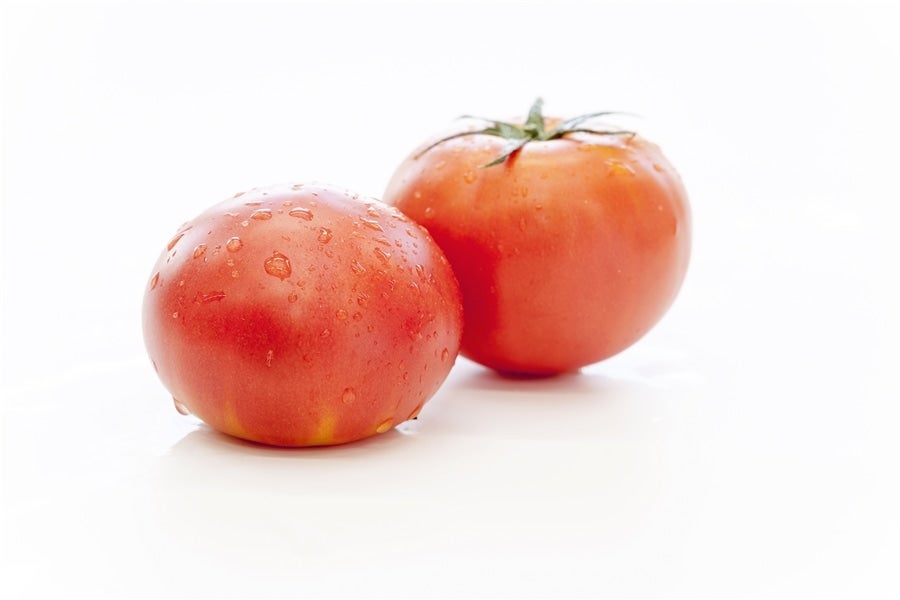 三重県産トマト フルーツトマトとまリッチ約1㎏（9～16玉） JAみえきた