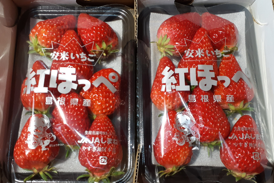 島根県産 やすぎのいちご 紅ほっぺ260g×2: しまね・うまいもんくらぶ
