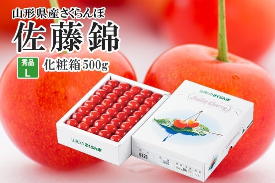 さくらんぼ佐藤錦約500g（化粧箱）クール便: JAてんどうフーズ