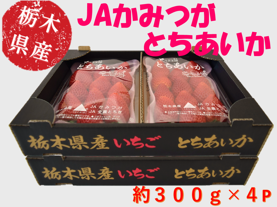 苺 とちあいか (約300g×4パック) 栃木県 JAかみつが産: とちぎ新鮮倉庫