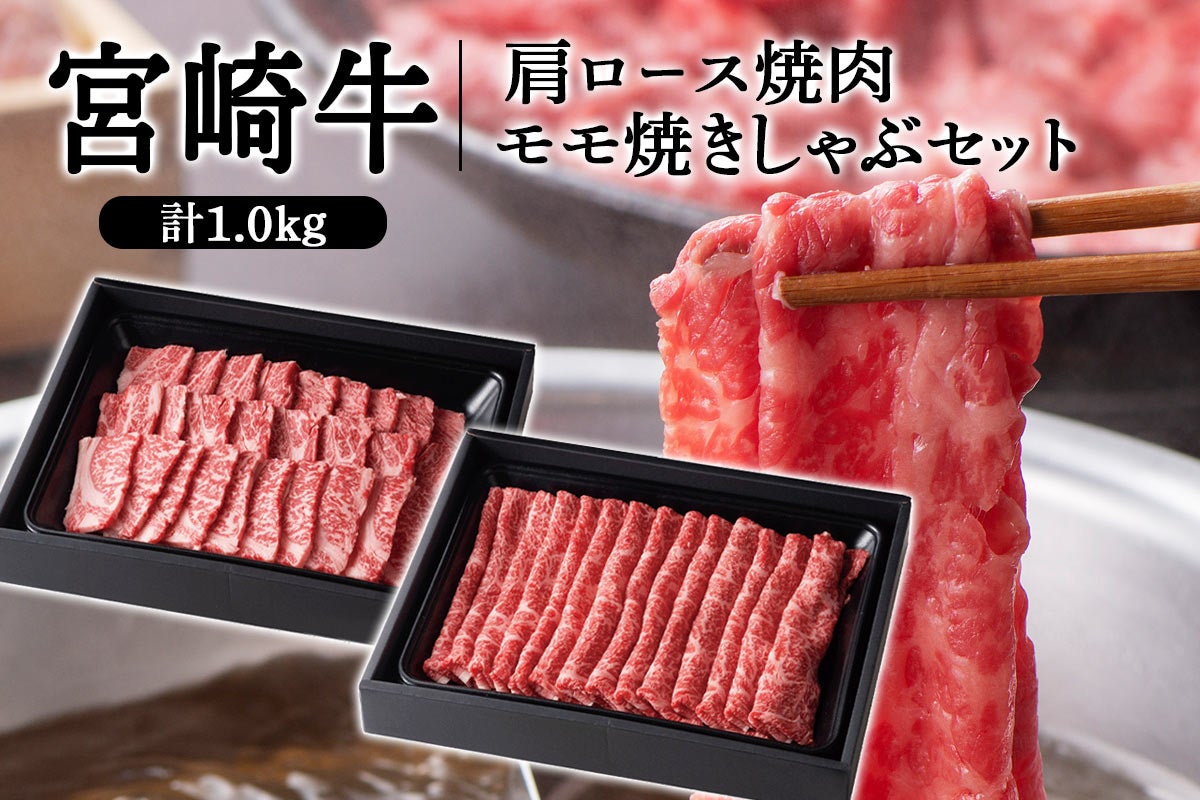 宮崎牛 肩ロース焼肉・モモ焼きしゃぶセット 計1.0kg: JAみやざき Tege