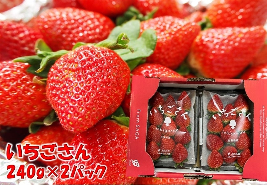佐賀県産 いちごさん 約240g×2パック: さが風土館 季楽|【JAタウン