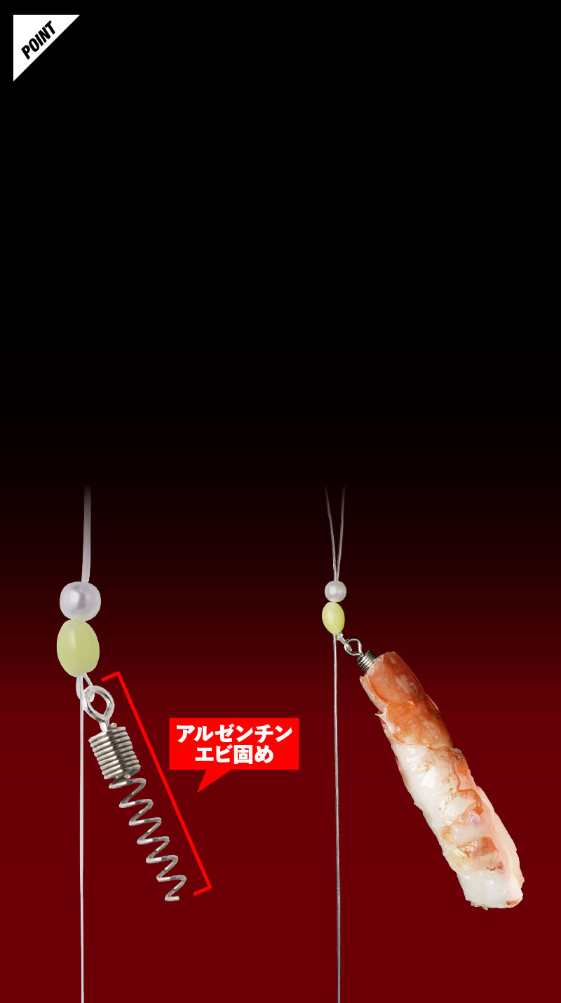 ビンビンカットウ完全仕掛け - SALT WATER 海釣り｜JACKALL