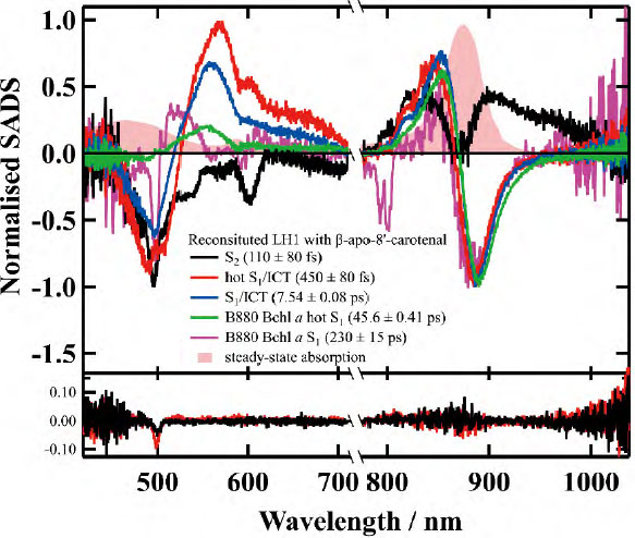 カロテノイド：構造と機能から見る新たな視点 | JAIMA 一般社団法人