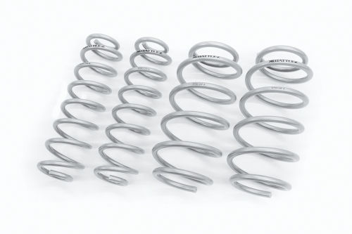 BATTLEZ リフトアップスプリング Ti-W RAV4 60系 Adventure｜株式会社