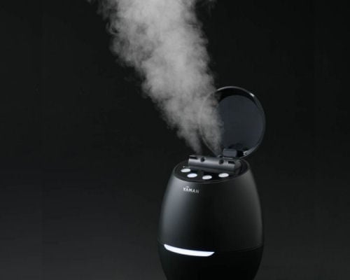 Salonia Pure Bright Steamer | Japan Trend Shop