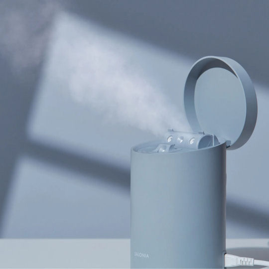 Salonia Pure Bright Steamer | Japan Trend Shop