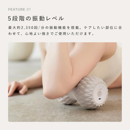 SixPad Power Roller Twins | Japan Trend Shop