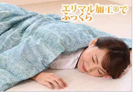 モリリン 布団・快眠グッズ 洗えるダウンケットシングル2枚組 JTD070S