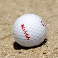 女子ゴルフの第1回W杯優勝祝賀会を前に笑顔を…：女子ゴルフ・宮里藍