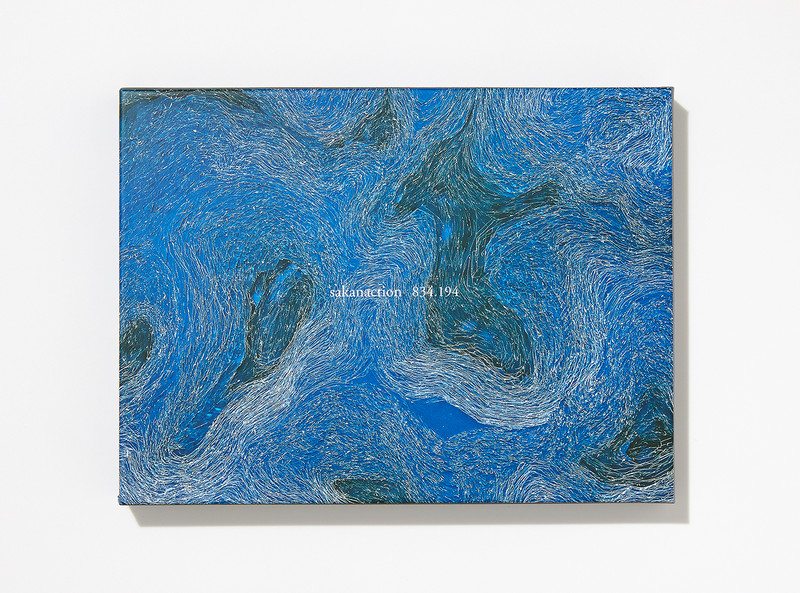 サカナクション | 834.194 （完全生産限定盤A：Blu-ray付属