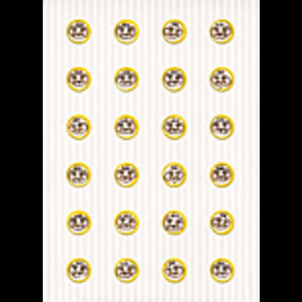 レピッシュ/We Are LA-PPISCH!!-COMPLETE DVD-B… レピッシュ/We Are LA