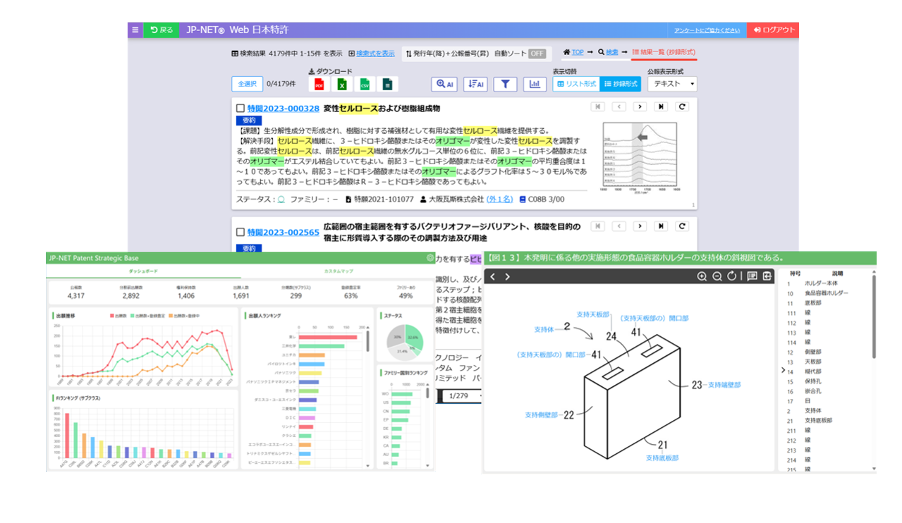 JPDS｜特許情報検索サービス｜表示機能詳細